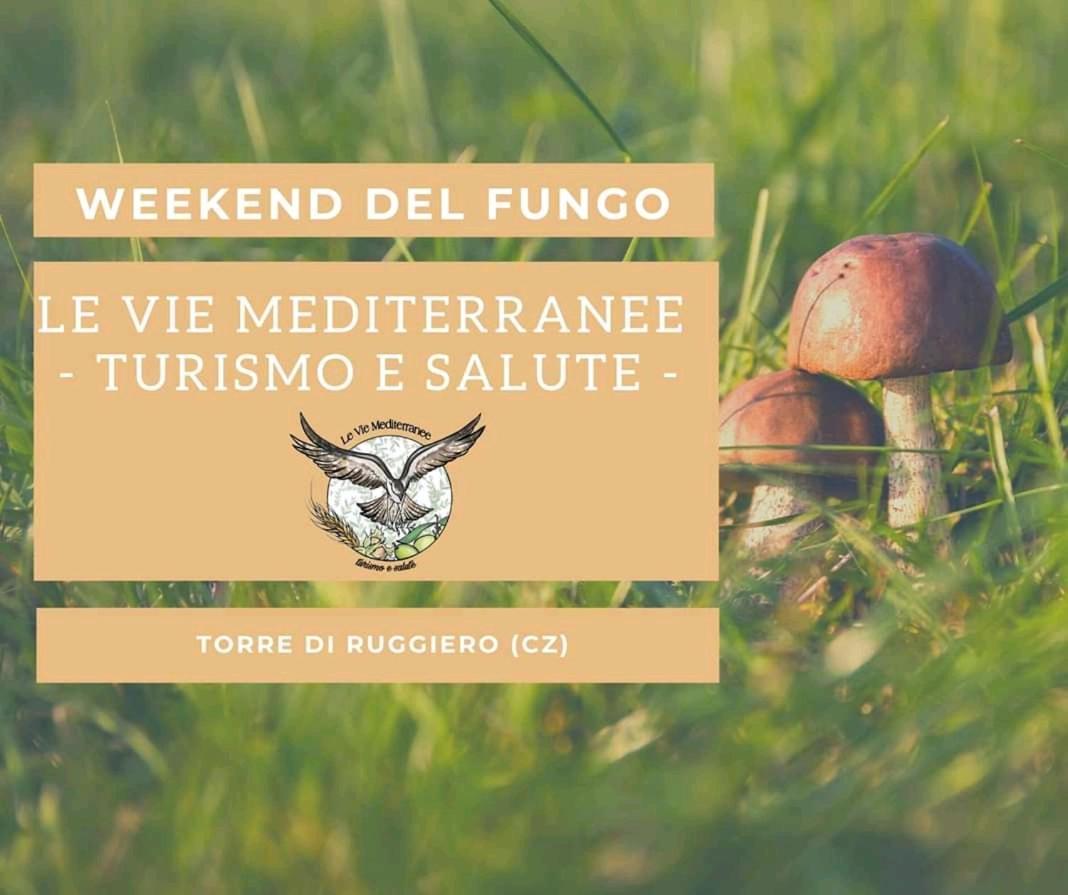 Le Vie Mediterranee Torre di Ruggiero Eksteriør bilde